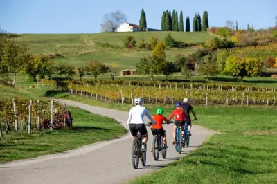 a group of people riding bikes down a road at Apartment Mandi By DIMBIKES in Ajdovščina