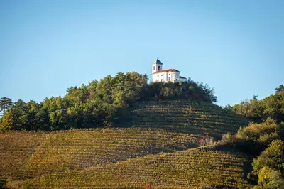 a house on top of a hill at Apartment Mandi By DIMBIKES in Ajdovščina