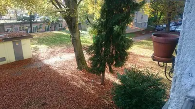 a view of a yard with a tree and a pot at Colorful City Center Apartment - Parking Available in Ljubljana