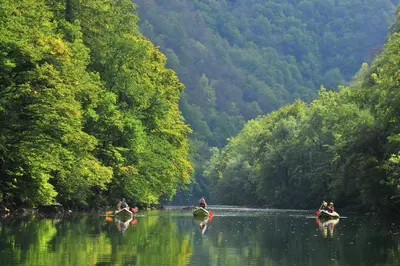 three people on kayaks on a river in a forest at Apartma Zidanca Bele in Dolenjske Toplice