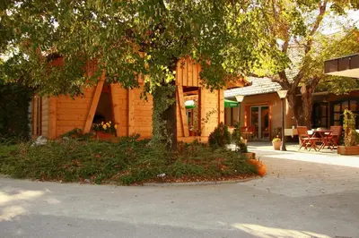 a house with a tree in front of it at Gostilna Žolnir in Kostanjevica na Krki