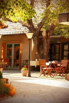 a table and chairs under a tree in front of a house at Gostilna Žolnir in Kostanjevica na Krki