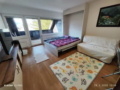 a bedroom with a bed and a couch and a rug at Planica Studio in Kranjska Gora in Kranjska Gora
