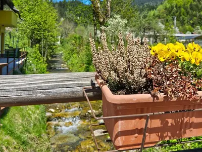 a flower pot on a fence with flowers in it at Apartment Pr' Kavač by Interhome in Rateče