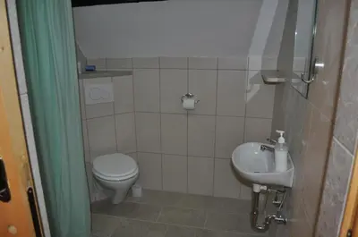 a bathroom with a toilet and a sink at Apartments Koptur in Škocjan