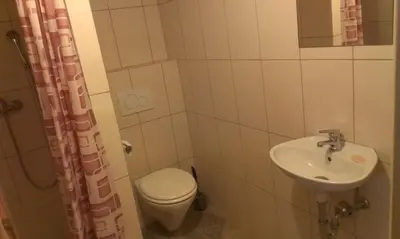 a small bathroom with a toilet and a sink at Apartments Koptur in Škocjan