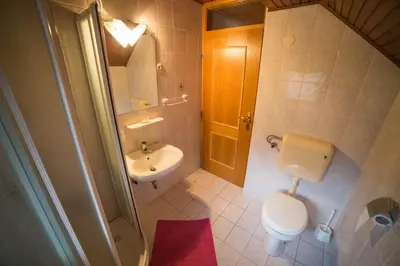 a bathroom with a toilet and a sink and a shower at Green Garden Apartments Soklič in Bohinj