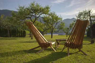 two wooden chairs sitting in the grass in a field at Green Garden Apartments Soklič in Bohinj