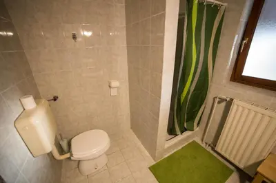 a bathroom with a toilet and a green shower curtain at Green Garden Apartments Soklič in Bohinj