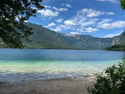 a view of a lake with mountains in the background at Chalet Fisherman's Cottage in Bohinj