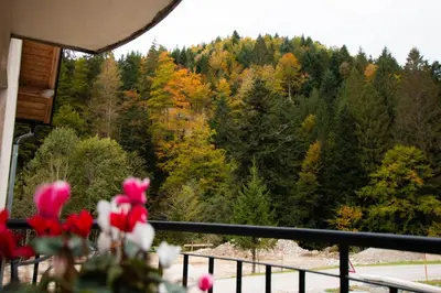 a view of a forest from a balcony with flowers at Apartma Rogla Relax in Oplotnica