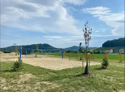 a volley ball court in a field with a tree at Spacious Cosy Apt with Pool and Parking in Pesnica pri Mariboru