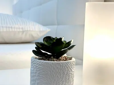 a plant in a white vase sitting on a table at Spacious Cosy Apt with Pool and Parking in Pesnica pri Mariboru