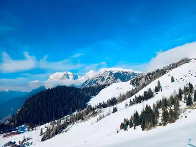 a snowy mountain with trees and snow capped mountains at Studio Queen Alpine in Cerklje na Gorenjskem