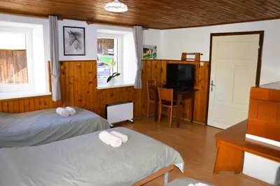 a bedroom with two beds and a television in it at Granny Angela's house in Grosuplje