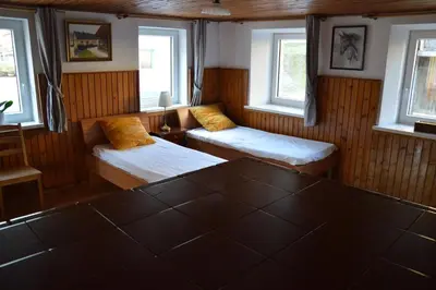 a room with two beds and two windows at Granny Angela's house in Grosuplje