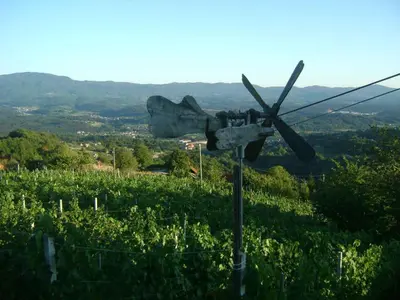 a propeller airplane sitting on top of a field at Holiday home in Otocec - Kranjska (Krain) 33898 in Otočec