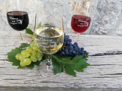 two glasses of wine and grapes on a table at Holiday home in Otocec - Kranjska (Krain) 33898 in Otočec