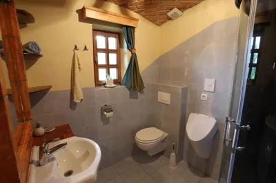 a bathroom with a sink and a toilet and a sink at Holiday home in Otocec - Kranjska (Krain) 33898 in Otočec
