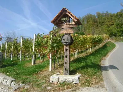 a clock on a pole next to a vineyard at Holiday home in Otocec - Kranjska (Krain) 33898 in Otočec