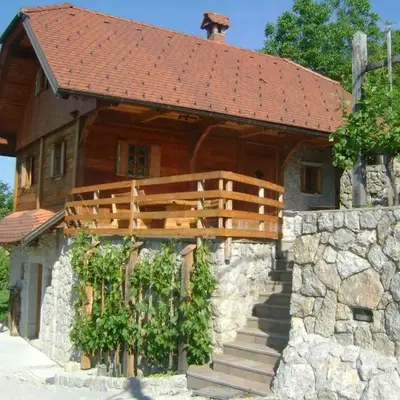 Holiday home in Otocec - Kranjska (Krain) 33898