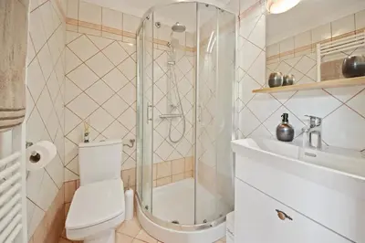 a bathroom with a shower and a toilet and a sink at Hiška Kovačija in Vremski Britof