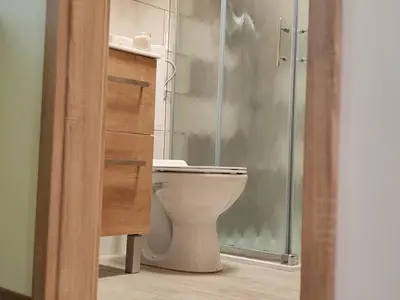 a bathroom with a toilet and a glass shower at House of Eden- Private Family Holiday Home in Terme Catez with FREE Pool Tickets in Čatež ob Savi