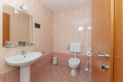 a bathroom with a toilet and a sink at Apartments Tabor in Naklo