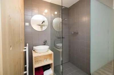 a bathroom with a shower and a sink and a mirror at Hiša Erlah in Bohinj