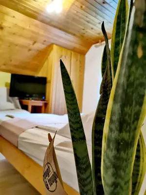 a plant sitting next to a bed in a room at Hiša Erlah in Bohinj