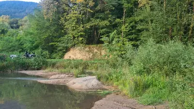 a body of water with trees and a river at Mala Savca in Loka pri Zidanem Mostu