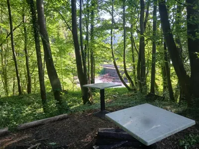 a picnic table in the middle of the woods at Mala Savca in Loka pri Zidanem Mostu
