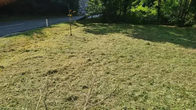 a grass field with a pole in the middle of it at Mala Savca in Loka pri Zidanem Mostu