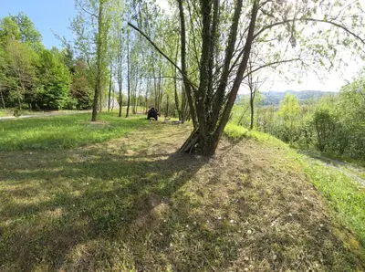 a tree sitting in the middle of a field at Mala Savca in Loka pri Zidanem Mostu