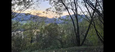 a view of a forest with mountains in the background at Mala Savca in Loka pri Zidanem Mostu