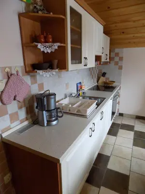 a kitchen with a sink and a counter top at Apartment Zeleni dragulj Pohorje, mir & čudovita narava in Oplotnica