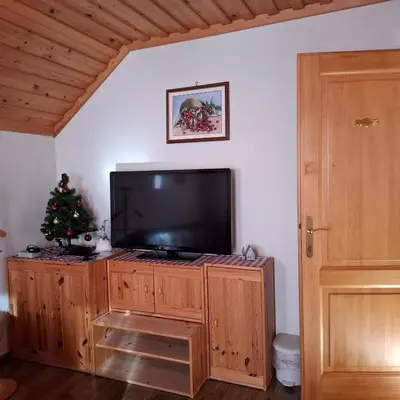 a television on a wooden cabinet with a christmas tree at Apartment Zeleni dragulj Pohorje, mir & čudovita narava in Oplotnica