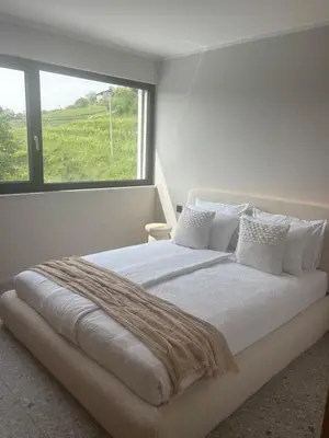 a white bedroom with a large bed with a window at Vila Solini in Kozana