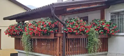 a balcony with red flowers on a house at Biba House in Tolmin