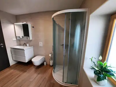 a bathroom with a shower and a toilet and a sink at Apartments Hlapi with SPA in Kobarid