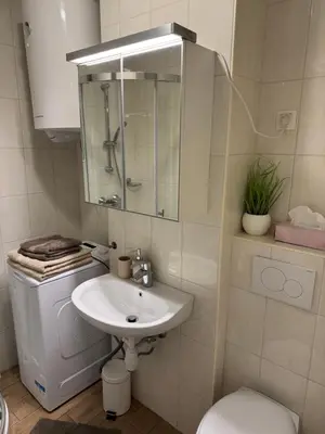 a bathroom with a sink and a toilet and a mirror at AlpNest with free parking in Bovec