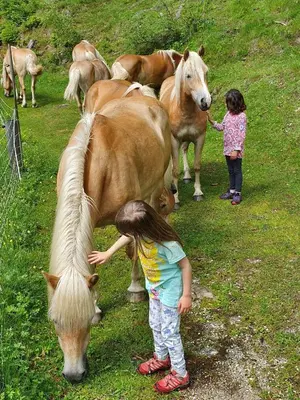 two little girls standing next to a group of horses at Glamping apartma Oaza miru in Preddvor