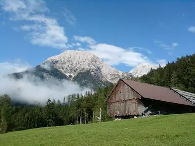 a barn in a field with mountains in the background at Glamping apartma Oaza miru in Preddvor