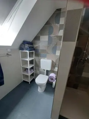 a small bathroom with a toilet in a attic at APARTMAJI VITEZ Apartma 4 in Bovec