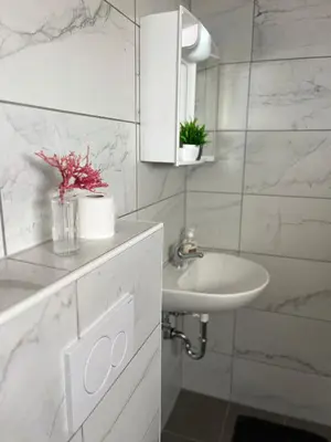 a white bathroom with a sink and a mirror at Apartments Linden Tree in Kamnik