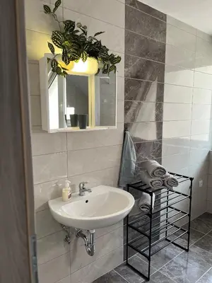 a bathroom with a sink and a mirror at Apartments Linden Tree in Kamnik