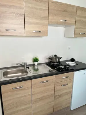 a kitchen with a sink and a stove and cabinets at Apartments Linden Tree in Kamnik