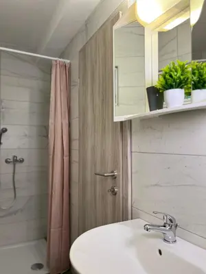 a bathroom with a sink and a shower at Apartments Linden Tree in Kamnik