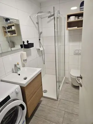 a bathroom with a shower and a sink and a toilet at Apartma Zala in Brežice