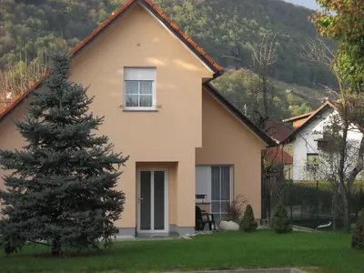 a house with a christmas tree in the yard at Apartmaji in sobe RaMar in Straža